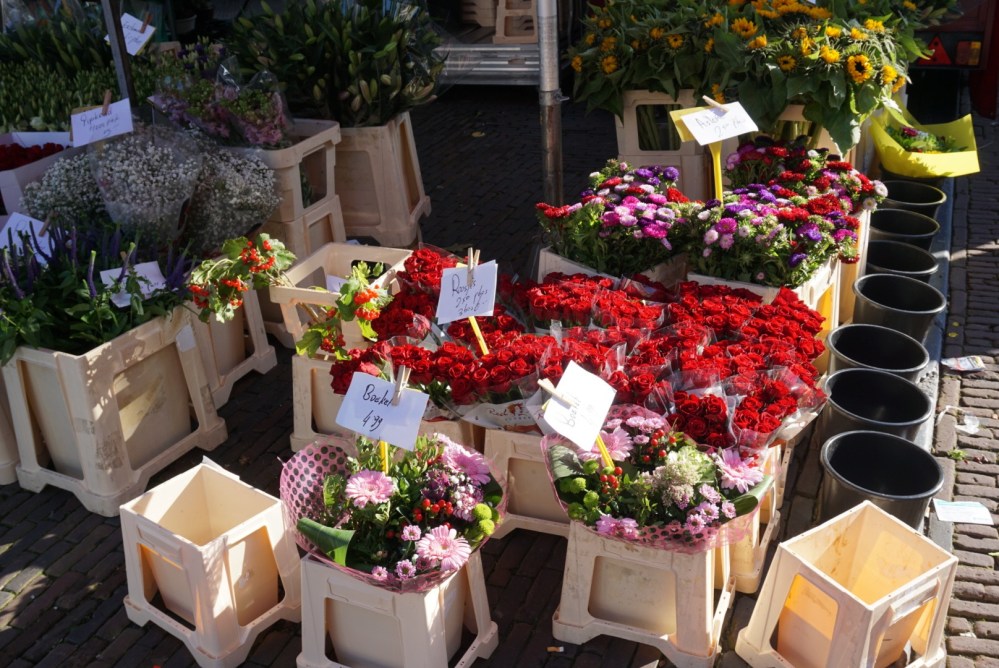 A7F76DA2-F603-4004-8E89-7280B1B08BD2